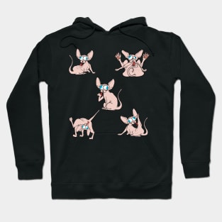 5 sphynx Hoodie